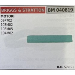 BRUMAR FILTRO BRIGGS & STRATTON  MOTORI 09P702 103M02 103M05 104M02  RO 595191