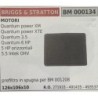 BRUMAR FILTRO BRIGGS & STRATTON  MOTORI Quantum power XM Quantum power XTE Quantum 35 Quantum 6 HP 5 HP orizzontali 55 Intek OH