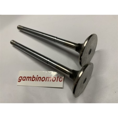 KIT VALVOLE MOTORE SAME SLH982LSLHL986 MINITAURO