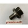 BULLONE VOLANO (M14) MOTORE LOMBARDINI LDA919697LDA1004LD6404LD820LDA705