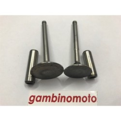 KIT VALVOLE + GUIDA VALVOLE MOTORE LOMBARDINI LA490