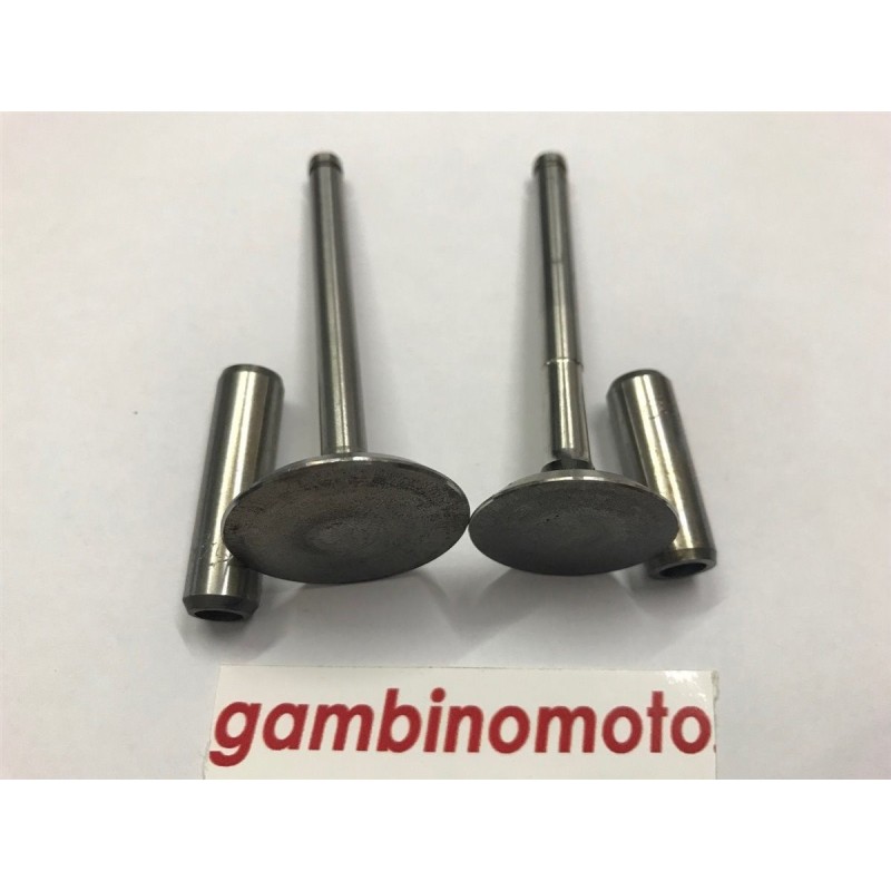 KIT VALVOLE + GUIDA VALVOLE MOTORE LOMBARDINI LA490