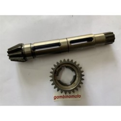 PIGNONE PIU' INGRANAGGIO PASQUALI TIPO 945 DENTI 1026