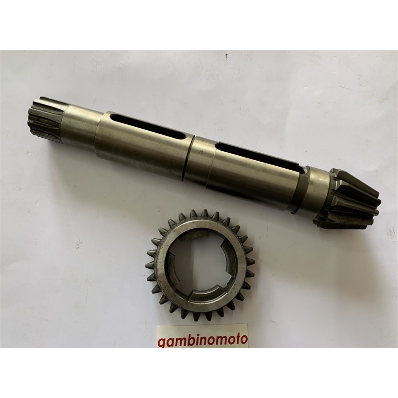 PIGNONE PIU' INGRANAGGIO PASQUALI TIPO 946 DENTI 1026