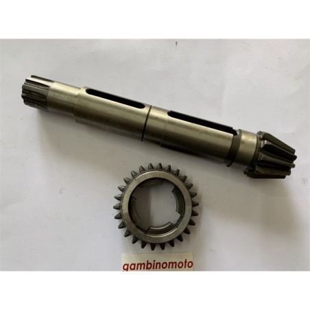 PIGNONE PIU' INGRANAGGIO PASQUALI TIPO 946 DENTI 1026