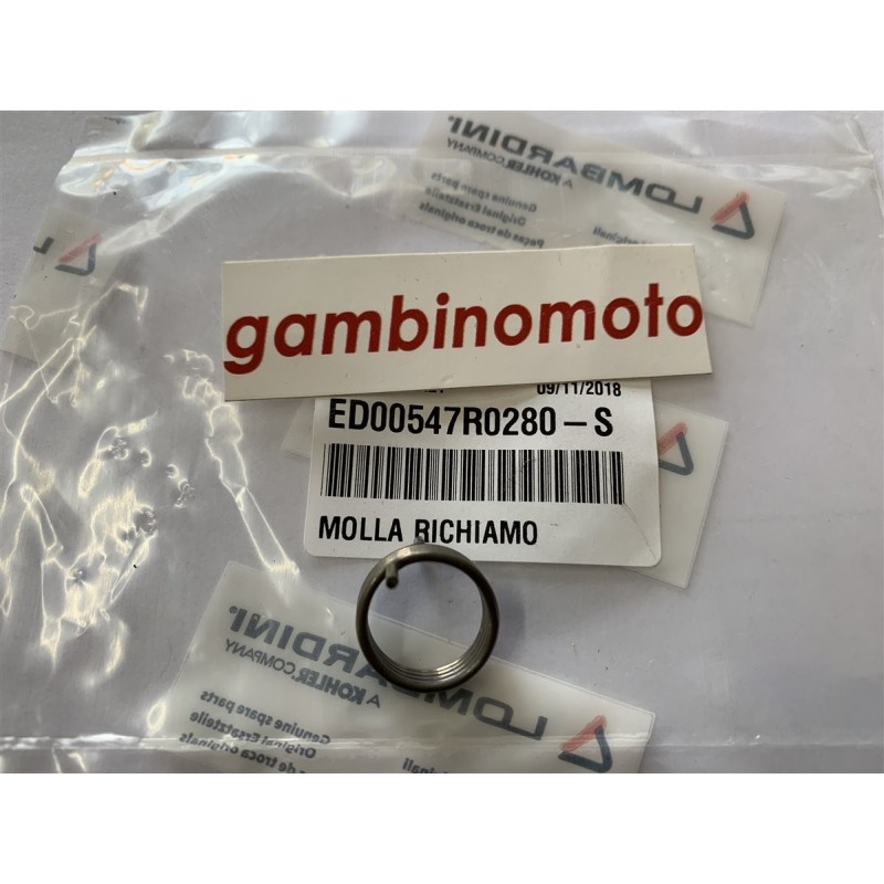 MOLLA RICHIAMO GAS MOTORE RUGGERINI RDRF ED00547R0280S