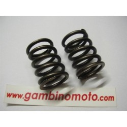 MOLLE VALVOLE MOTORE INTERMOTOR IM300IM350