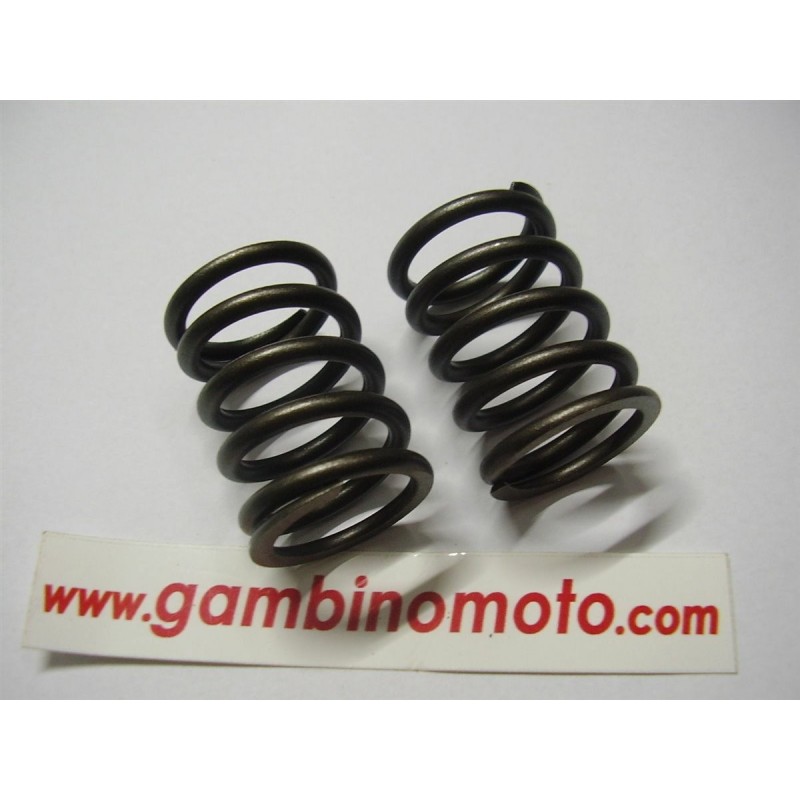 MOLLE VALVOLE MOTORE INTERMOTOR IM300IM350