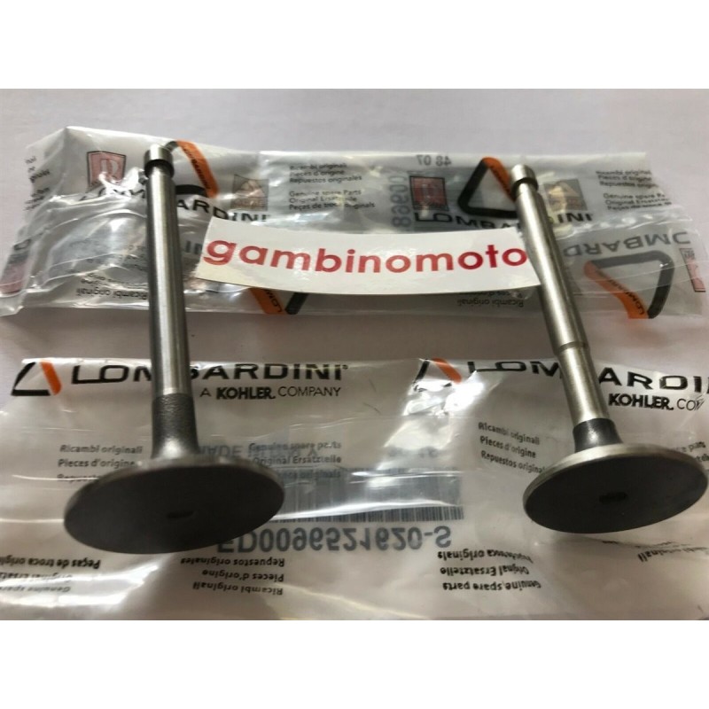 VALVOLE MOTORE LOMBARDINI INTERMOTOR LA250 SERBATOIO IN PLASTICA