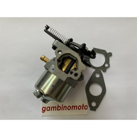 CARBURATORE MOTORE BRIGGS & STRATTON HUAYI DOV 100600      300530