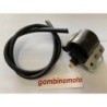 BOBINA MOTOZAPPA MOTORE MINARELLIBETAZANETTICM ALTRO
