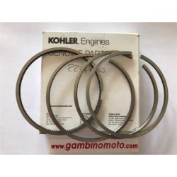 SEGMENTI MOTORE RUGGERINI RD 920  RD 240 STANDARD