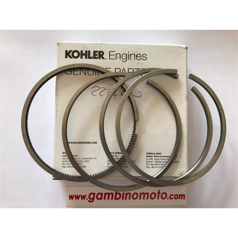 SEGMENTI MOTORE RUGGERINI RD 920  RD 240 STANDARD