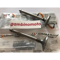VALVOLE MOTORE LOMBARDINI INTERMOTOR IM 250251252300350351352359 MODELLO CON SERBATOIO IN PLASTICA