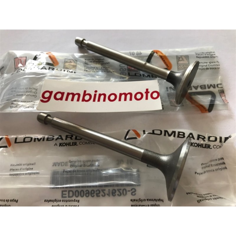 VALVOLE MOTORE LOMBARDINI INTERMOTOR IM 250251252300350351352359 MODELLO CON SERBATOIO IN PLASTICA