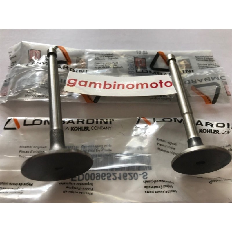 VALVOLE MOTORE LOMBARDINI INTERMOTOR IM 250251252300350351352359 MODELLO CON SERBATOIO IN FERRO