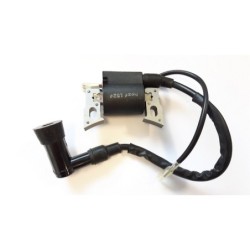 CENTRALINA MOTORE HONDA GX 100