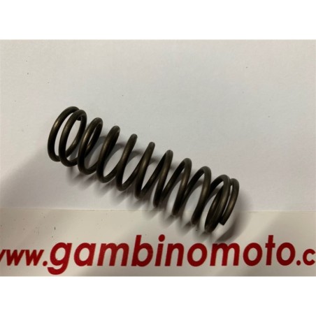 MOLLA RETROMARCIA MOTOZAPPA EUROGRREN 573  83 PASBO