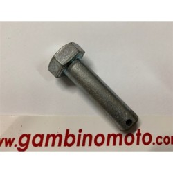 SPINA TIMONE DIAMETRO MM 12 MOTOZAPPA EUROGREEN E572 7383 PASBO