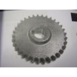 INGRANAGGIO MOTOZAPPA BRUMI KLEIN 1° VELOCITA Z 33