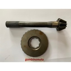 COPPIA CONICA MOTOZAPPA BARBIERI CONDOR PER ALBERO DA MM35 DENTI 927