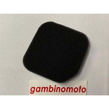 SPUGNA FILTRO DECESPUGLIATORE TIPO CINA 3343 EURO 1  2014  310235