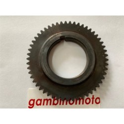INGRANAGGIO ALBERO MOTORE ZANETTI YANMAR  RAMNAY  KAMA  CM 5 CAVALLI