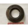 INGRANAGGIO ALBERO MOTORE ZANETTI YANMAR  RAMNAY  KAMA  CM 9 CAVALLI