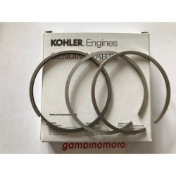 SEGMENTI MOTORE RUGGERINI MD190 STANDARD