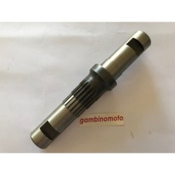 ALBERO FRESA MOTOCOLTIVATORE PASQUALI TIPO 917 CAVALLI 14