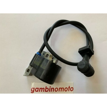 BOBINA BRUMAR ELETTRONICA CIFARELLI SOFFIATORI  ATOMIZZATORI BL 77 V 75SD M 88  007725