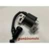 BOBINA BRUMAR ELETTRONICA DAYE MOTORI DG 450 DG 600