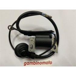 BOBINA BRUMAR ELETTRONICA DUCAR  GENERATORI D 1000i