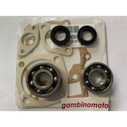 KIT REVISIONE MOTORE MINZEL RUGGERINI M150  MISURE CUSCINETTI 52x20x15 e 47x20x14  MIRERE PARAOLI  20x32x7