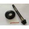 COPPIA CONICA MOTOCOLTIVATORE PASQUALI INFERIORE Z 772  TIPO 465