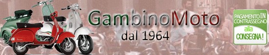 Gambinomoto